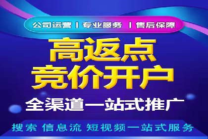成功运用SEM服务实现品牌推广的案例分析